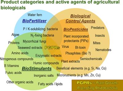 Testing plant growth promoting microorganisms in the field - a proposal for standards